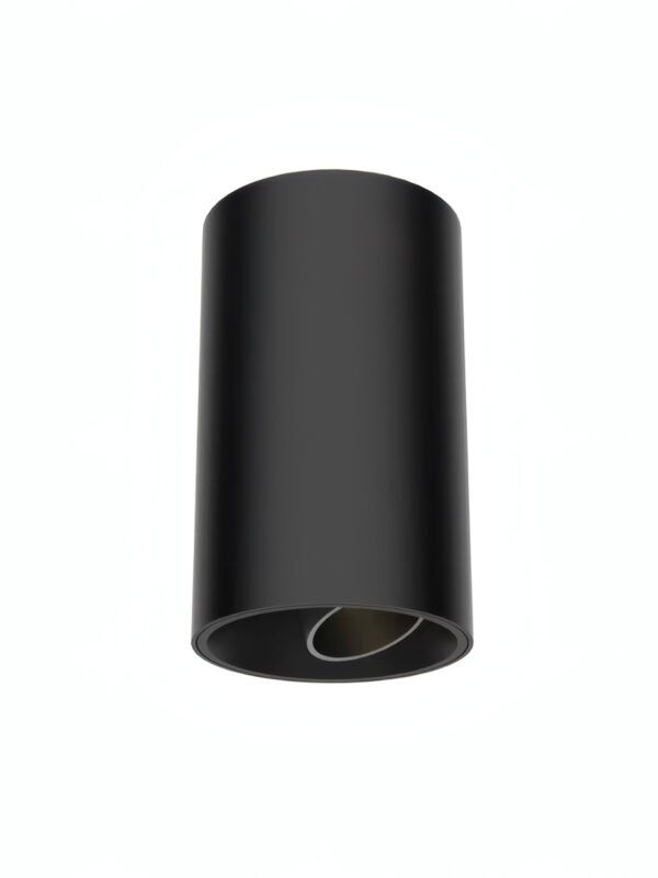 Black Adjustable Surface Mounted Spotlight